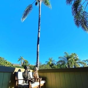 Meet your Posher, Dean